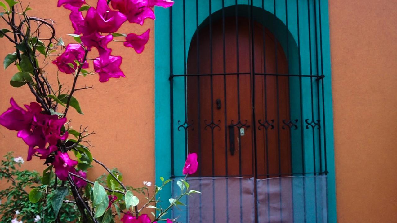 Casa Frida B&B Oaxaca Bagian luar foto