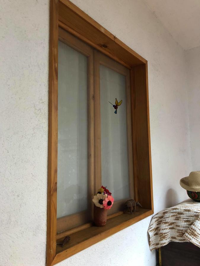 Casa Frida B&B Oaxaca Bagian luar foto