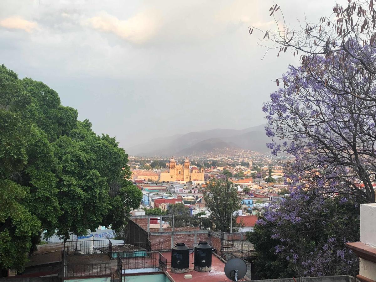 Casa Frida B&B Oaxaca Bagian luar foto