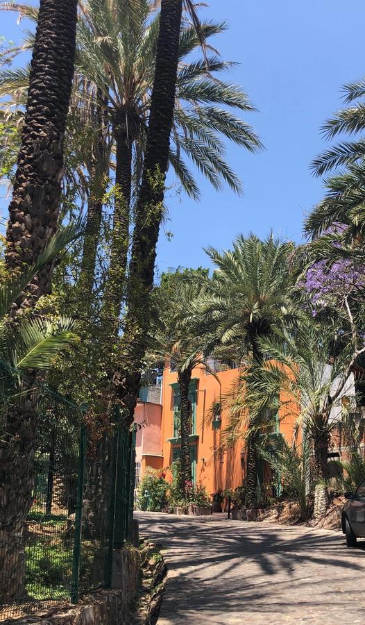 Casa Frida B&B Oaxaca Bagian luar foto