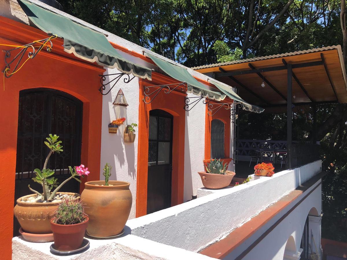 Casa Frida B&B Oaxaca Bagian luar foto